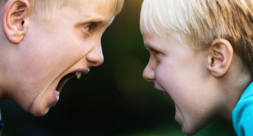Sibling Rivalry_ How to Stop the Fighting and Raise Closer Kids